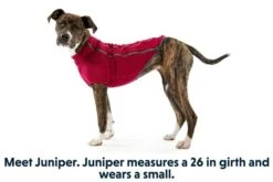 Ruffwear - Fernie Fleece Jacket Hibiscus Pink 7 Ruffwear - Fernie Fleece Jacket Hibiscus Pink -Ruffwear 05901 fernie hibiscus pink small web 640x f7e97ed4 26f6 4313 bcda 2e4ee0b5b99c