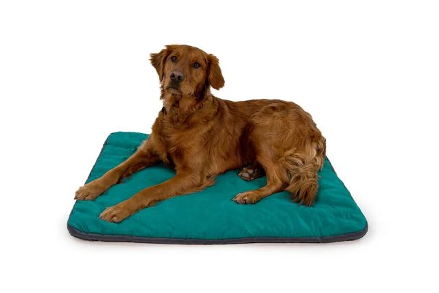 Ruffwear Mt. Bachelor Pad Portable Dog Bed 3 Ruffwear Mt. Bachelor Pad Portable Dog Bed - Image 3