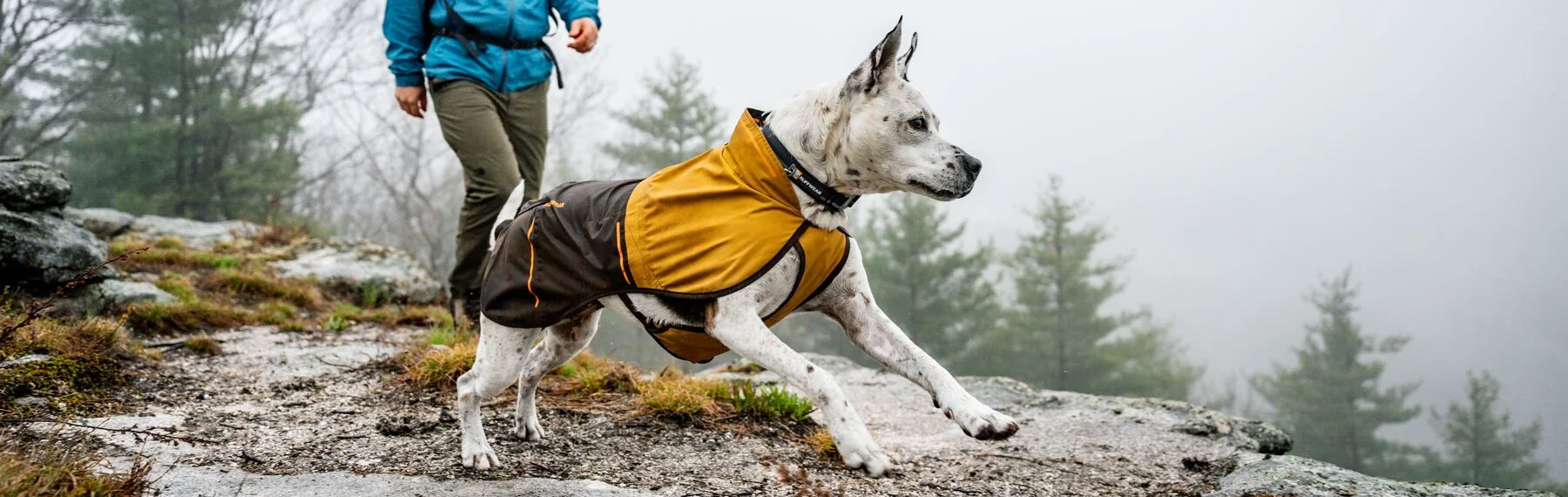Ruffwear -Ruffwear 2