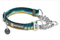 Ruffwear Chain Reaction Martingale Dog Collar - Seafoam