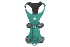 Ruffwear - Flagline™ Lightweight Dog Harness - Meltwater Teal -Ruffwear 3055 flagline harness meltwater teal overhead web 640x 40c97a64 e7b0 4c60 87fa b11ff5de5d36
