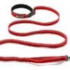 Ruffwear - Roamer™ Dog Lead - Red Currant