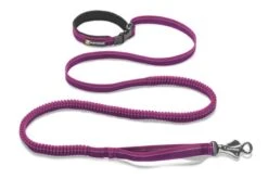 Ruffwear - Roamer™ Dog Lead - Purple Dusk