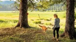 Ruffwear Knot A Hitch Campsite Dog Tether -Ruffwear maxresdefault