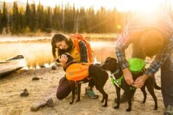 Ruffwear Approach Pack Dog Harness - Orange Poppy -Ruffwear product page header approach pack 882x589 74758794 a6b5 41f1 9299 e57bd71fee7b