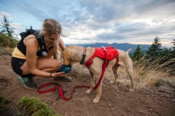 Ruffwear - Switchbak Dog Harness - Red Sumac -Ruffwear red ruff