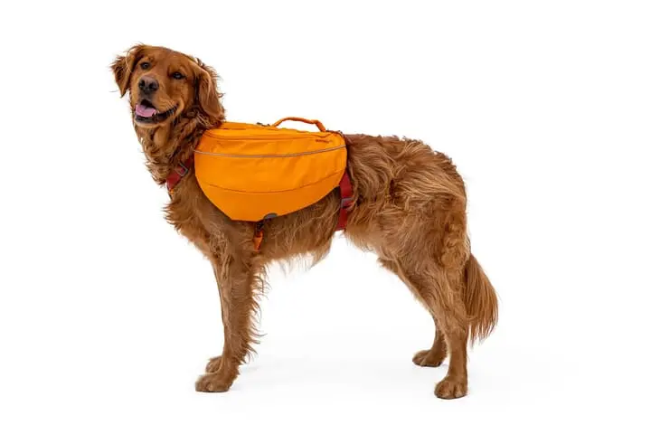 Ruffwear Approach Dog Backpack Orange 2 Ruffwear Approach Dog Backpack Orange - Image 2