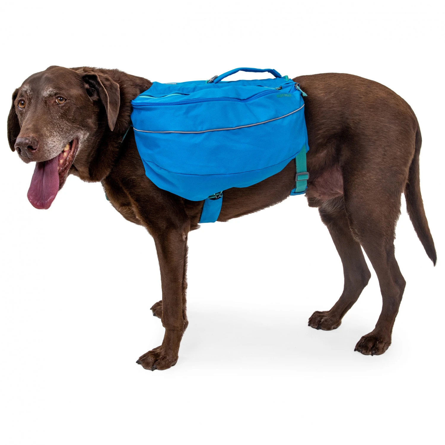 Ruffwear Approach Pack - Dog Harness 5 Ruffwear Approach Pack - Dog Harness - Image 5
