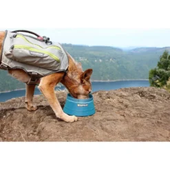 Ruffwear Bivy Packable Dog Bowl -Ruffwear ruffwear bivy packable dog bowl 5