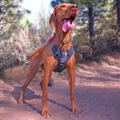 Ruffwear Brush Guard Chest Protection For Dog Harnesses 11 Ruffwear Brush Guard Chest Protection For Dog Harnesses -Ruffwear ruffwear brush guard chest protection for dog harnesses 4