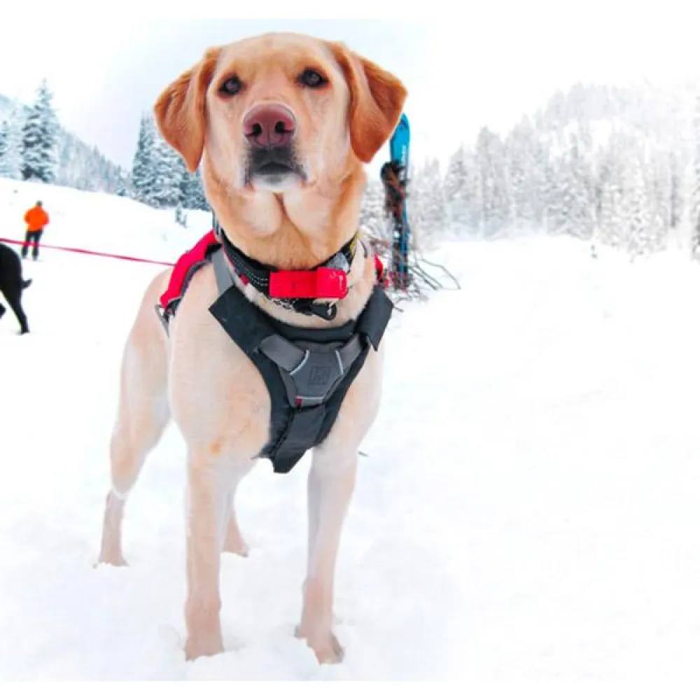 Ruffwear Brush Guard Chest Protection For Dog Harnesses 6 Ruffwear Brush Guard Chest Protection For Dog Harnesses - Image 6