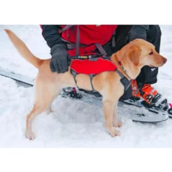 Ruffwear Brush Guard Chest Protection For Dog Harnesses 13 Ruffwear Brush Guard Chest Protection For Dog Harnesses -Ruffwear ruffwear brush guard chest protection for dog harnesses 6