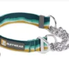 Ruffwear Chain Reaction Seafoam Collar