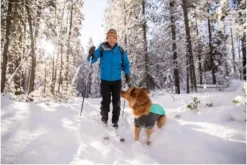 Ruffwear Cloud Chaser Jacket Aurora Teal -Ruffwear ruffwear cloud chaser jacket aurora teal wtfu.jpg