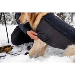 Ruffwear Cloud Chaser Soft Shell -Ruffwear ruffwear cloud chaser soft shell 7
