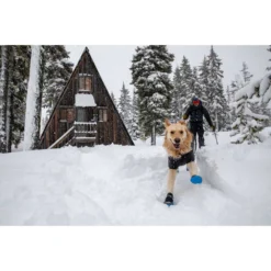 Ruffwear Cloud Chaser Soft Shell -Ruffwear ruffwear cloud chaser soft shell 8