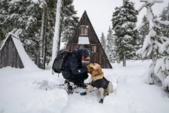 Ruffwear Cloud Chaser Soft Shell Obsidian Black Jacket 16 Ruffwear Cloud Chaser Soft Shell Obsidian Black Jacket -Ruffwear ruffwear cloud chaser soft shell obsidian black jacket esgy.jpg