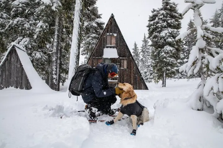 Ruffwear Cloud Chaser Soft Shell Obsidian Black Jacket 8 Ruffwear Cloud Chaser Soft Shell Obsidian Black Jacket - Image 8