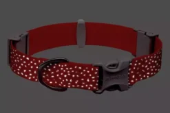 Ruffwear Confluence Waterproof Dog Collar Red Sumac -Ruffwear ruffwear confluence waterproof dog collar red sumac zubg.jpg