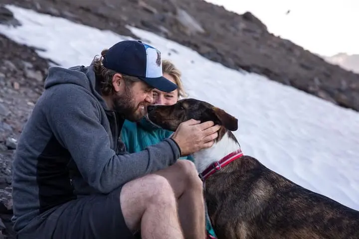 Ruffwear Crag Sunset Collar 4 Ruffwear Crag Sunset Collar - Image 4