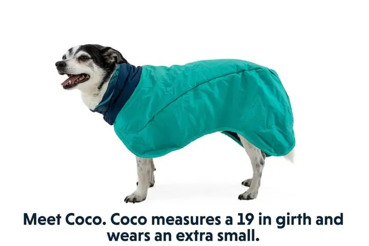 Ruffwear Dirtbag Dog Drying Towel Aurora Teal 14 Ruffwear Dirtbag Dog Drying Towel Aurora Teal - Image 14