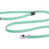 Ruffwear Flagline Dog Lead Sage Green