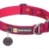 Ruffwear Flat Out Alpenglow Burst Collar