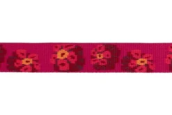 Ruffwear Flat Out Alpenglow Burst Leash 9 Ruffwear Flat Out Alpenglow Burst Leash -Ruffwear ruffwear flat out alpenglow burst leash dhs2.jpg