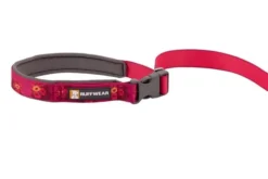 Ruffwear Flat Out Alpenglow Burst Leash 12 Ruffwear Flat Out Alpenglow Burst Leash -Ruffwear ruffwear flat out alpenglow burst leash gqgp.jpg