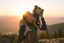 Ruffwear Front Range Aurora Teal Collar -Ruffwear ruffwear front range aurora teal collar 9k98.jpg