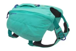 Ruffwear Front Range Aurora Teal Day Pack