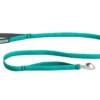 Ruffwear Front Range Dog Lead Aurora Teal