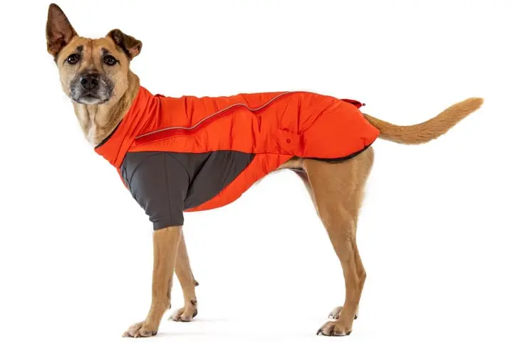 Ruffwear Furness Dog Jacket Red Sumac 2 Ruffwear Furness Dog Jacket Red Sumac - Image 2