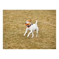 Ruffwear Gourdo Toy -Ruffwear ruffwear gourdo toy 2