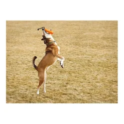 Ruffwear Gourdo Toy -Ruffwear ruffwear gourdo toy 3