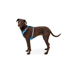 Ruffwear Hi & Light Harness - Dog Harness 9 Ruffwear Hi & Light Harness - Dog Harness -Ruffwear ruffwear hi light harness dog harness detail 5