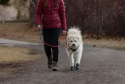 Ruffwear Just-a-Cinch Dog Lead Red Sumac 14 Ruffwear Just-a-Cinch Dog Lead Red Sumac -Ruffwear ruffwear justacinch dog lead red sumac xf8t.jpg