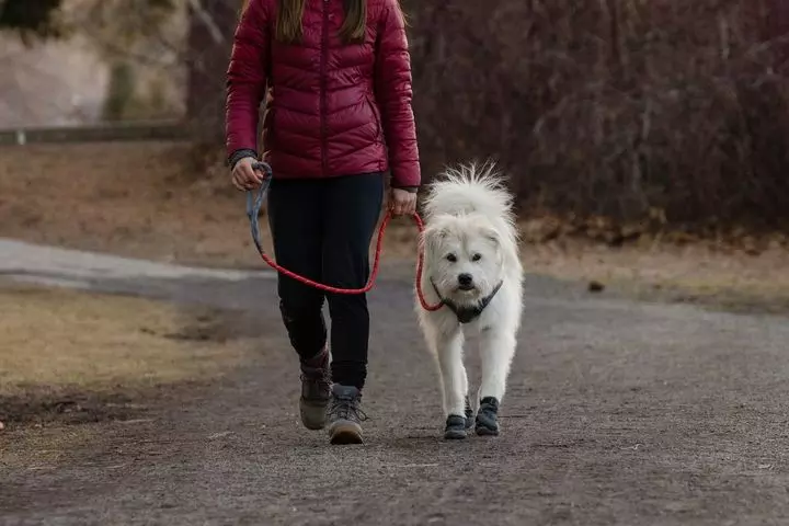 Ruffwear Just-a-Cinch Dog Lead Red Sumac 7 Ruffwear Just-a-Cinch Dog Lead Red Sumac - Image 7