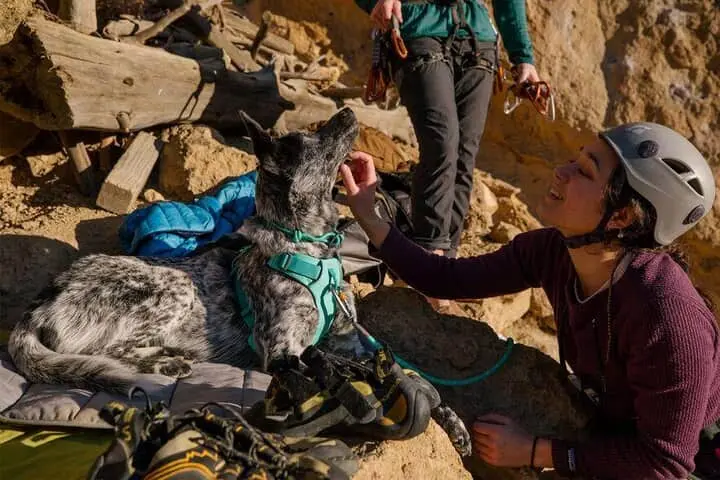 Ruffwear Knot-a-Collar Rope Dog Collar Aurora Teal 6 Ruffwear Knot-a-Collar Rope Dog Collar Aurora Teal - Image 6