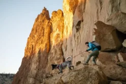 Ruffwear Knot-a-Leash Rope Dog Leash Hibiscus Pink -Ruffwear ruffwear knotaleash rope dog leash hibiscus pink 3esu.jpg