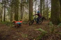 Ruffwear Lumenglow Hi-Viz Jacket Red Sumac -Ruffwear ruffwear lumenglow hiviz jacket red sumac q09e.jpg