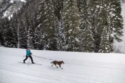 Ruffwear Omnijore Joring System Orange Poppy -Ruffwear ruffwear omnijore joring system orange poppy 3ht8.jpg