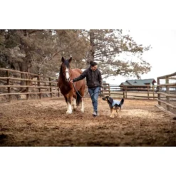 Ruffwear Overcoat Utility -Ruffwear ruffwear overcoat utility 10