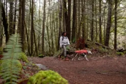 Ruffwear Overcoat Utility Dog Jacket Red Clay -Ruffwear ruffwear overcoat utility dog jacket red clay 80k2.jpg