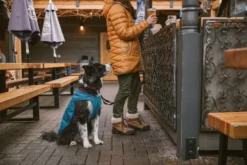 Ruffwear Stumptown Quilted Dog Coat Metolius Blue -Ruffwear ruffwear stumptown quilted dog coat metolius blue j6t2.jpg