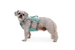 Ruffwear Swamp Cooler Dog Cooling Harness Sage Green -Ruffwear ruffwear swamp cooler dog cooling harness sage green nuu3.jpg