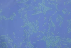 Ruffwear Swamp Cooler Dog Cooling Neck Gaiter Aurora Teal/ Heliotrope Purple -Ruffwear ruffwear swamp cooler dog cooling neck gaiter aurora teal heliotrope purple k439.jpg