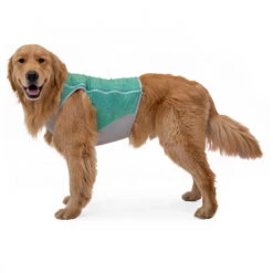 Ruffwear Swamp Cooler Zip Vest - Dog Coat -Ruffwear ruffwear swamp cooler zip vest dog coat detail 5