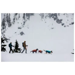 Ruffwear Vert Jacket - Dog Coat -Ruffwear ruffwear vert jacket dog coat detail 8