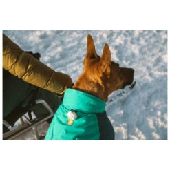 Ruffwear Vert Jacket - Dog Coat -Ruffwear ruffwear vert jacket dog coat detail 9